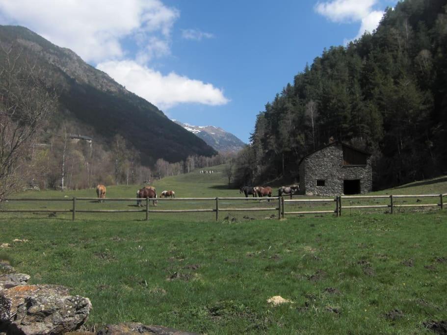 Apartament Gran Pirineu モントフェレル エクステリア 写真